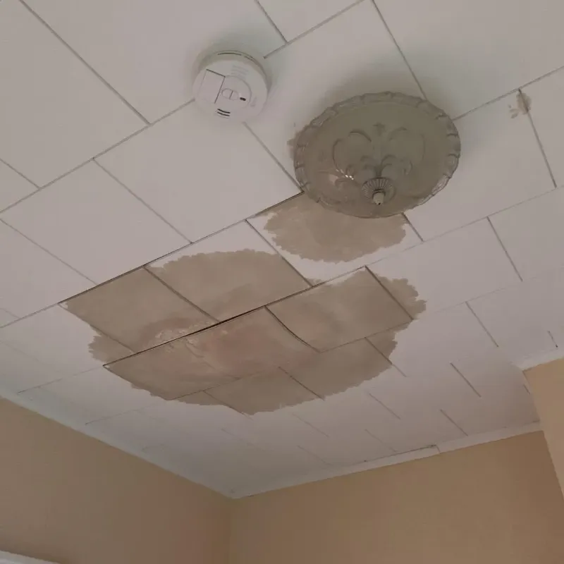 Ceiling Water Damage Repair in Bowleys Quarters, MD