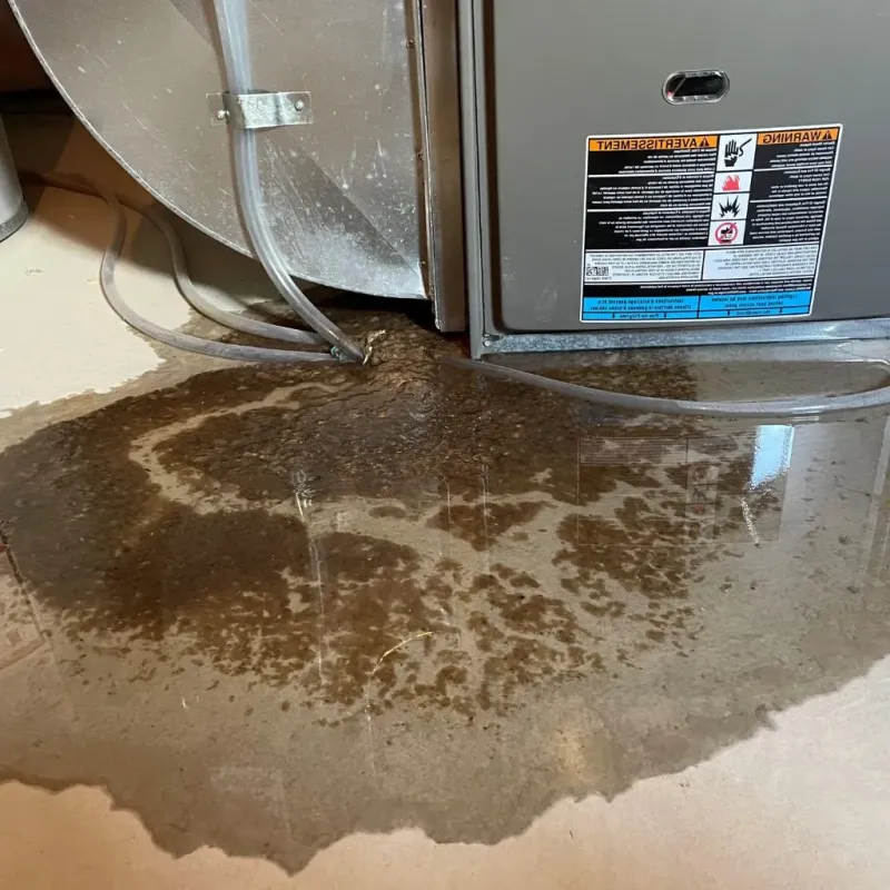 Pipe Burst and Leak Restoration in Bowleys Quarters, MD